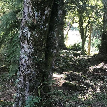 Refugio Da Natureza São Francisco de Paula Kültér fotó