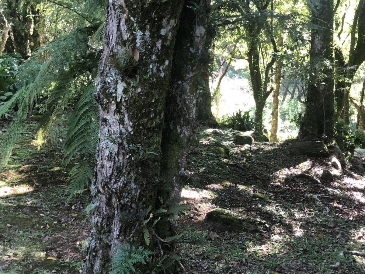 Refugio Da Natureza São Francisco de Paula Kültér fotó