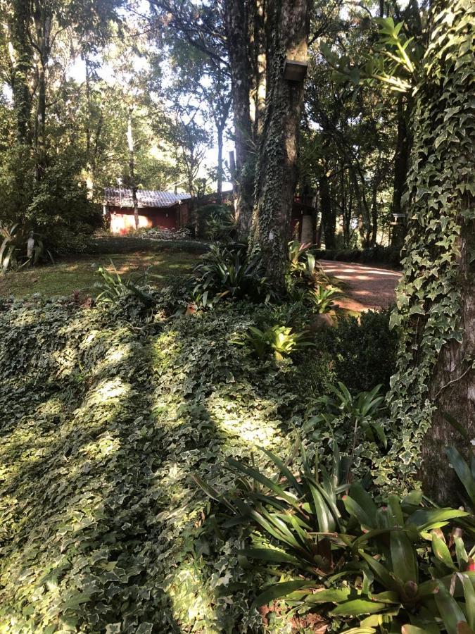 Refugio Da Natureza São Francisco de Paula Kültér fotó