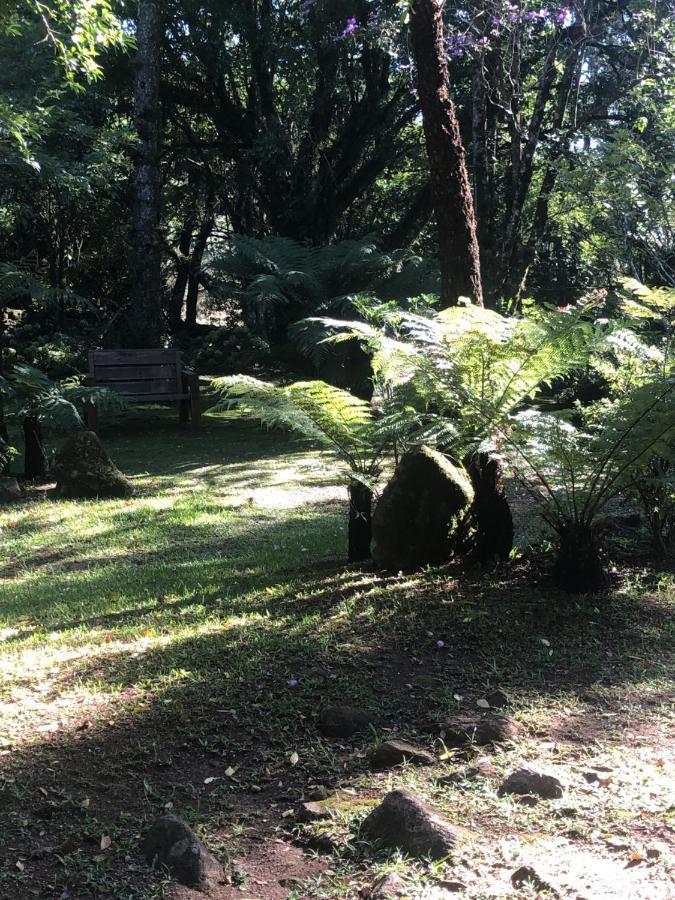 Refugio Da Natureza São Francisco de Paula Kültér fotó