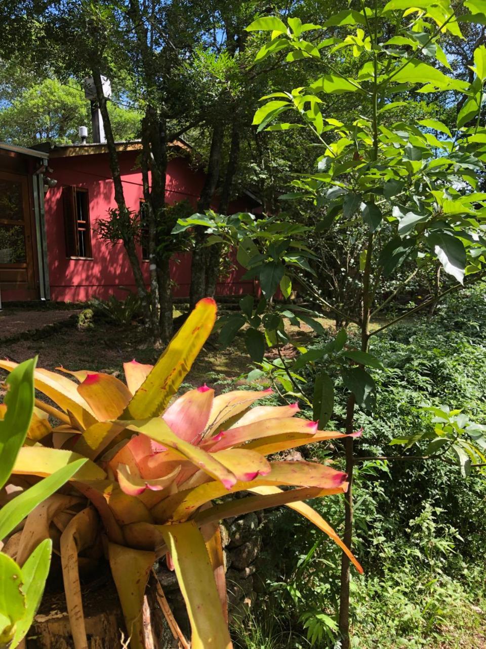 Refugio Da Natureza São Francisco de Paula Kültér fotó