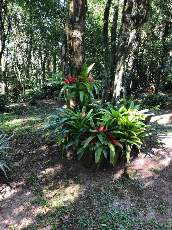 Refugio Da Natureza São Francisco de Paula Kültér fotó
