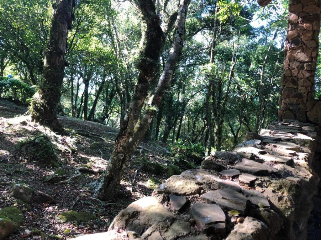 Refugio Da Natureza São Francisco de Paula Kültér fotó